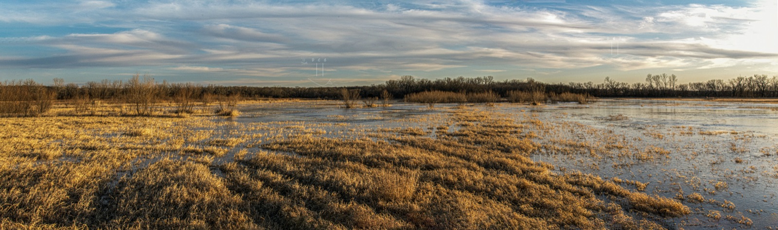 Frozen marshy grassland under a detailed winter sky